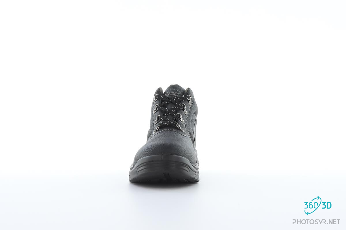 Raptor S1P - Image 2